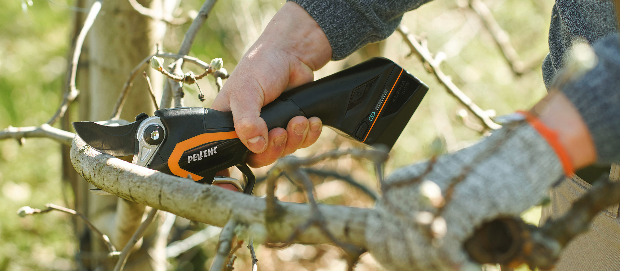 Pellenc C3X Nahaufnahme im Einsatz